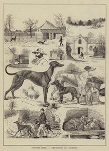 ドーチェスター近くのアセルハンプトンにあるグレイハウンド犬舎 作： Louis Wain